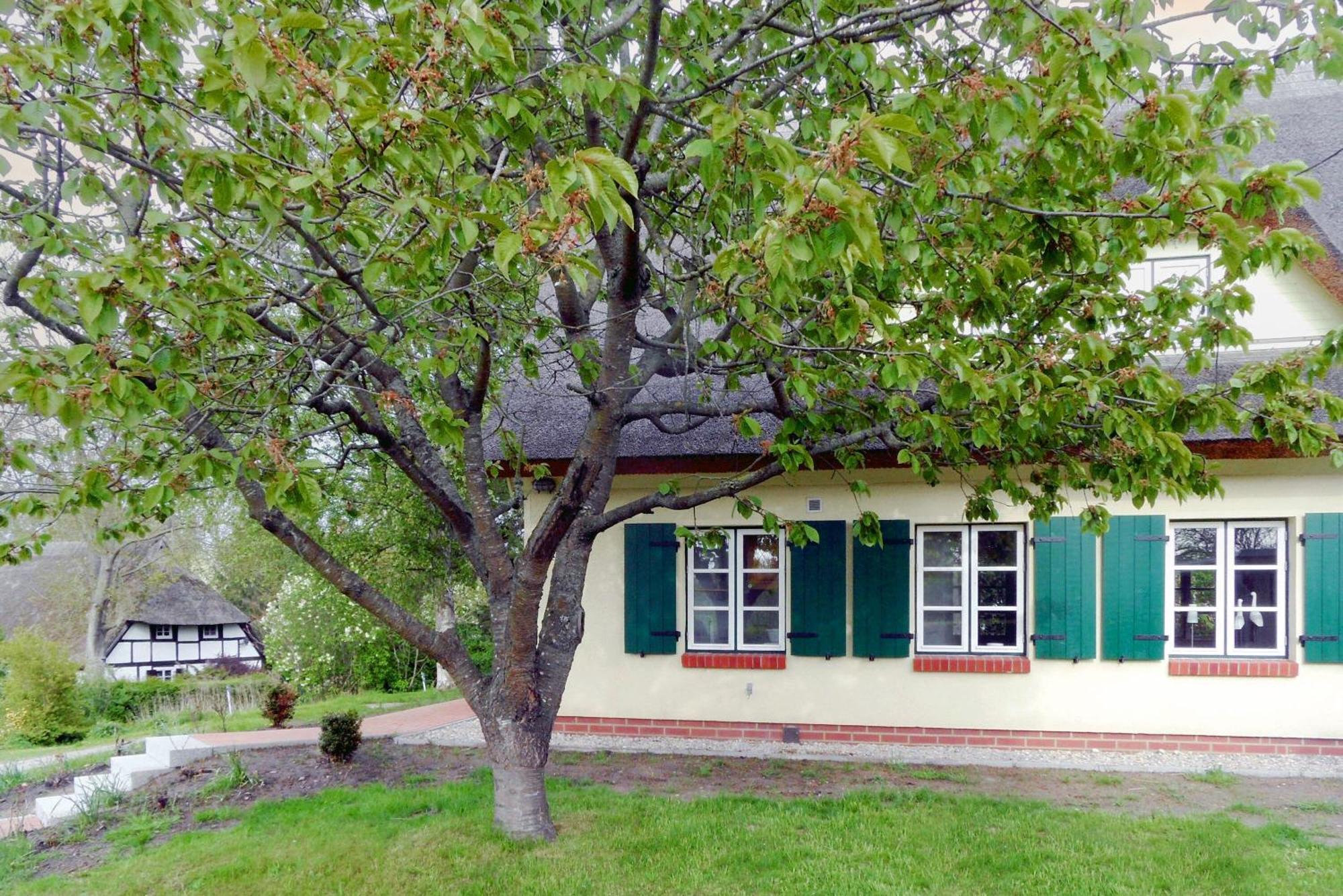 Ferienhaus Preetz 1A - Idylle Unter Reet Burtevitz Екстериор снимка